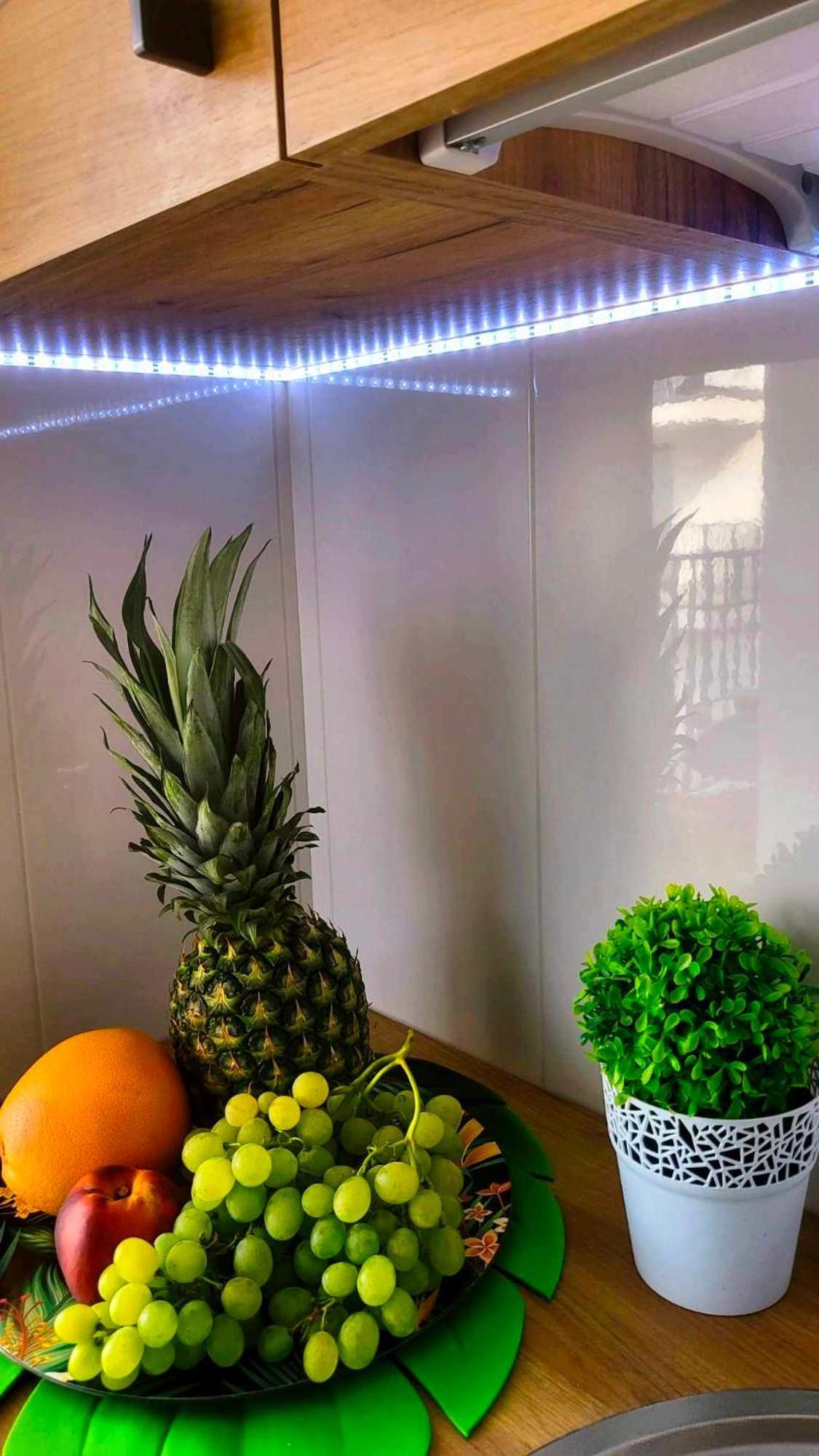 Apartment Focus Lublin